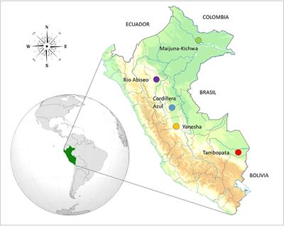 Latitudinal patterns and environmental drivers of taxonomic, functional, and phylogenetic diversity of woody plants in western Amazonian terra firme forests